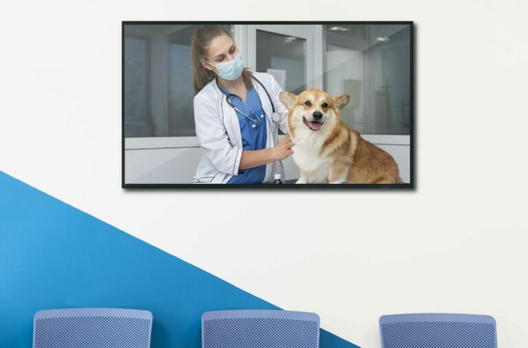 Thinking of renovating your Veterinary Clinic with Digital Boards?